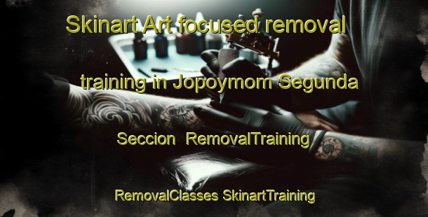 Skinart Art-focused removal training in Jopoymom Segunda Seccion | #RemovalTraining #RemovalClasses #SkinartTraining-Mexico