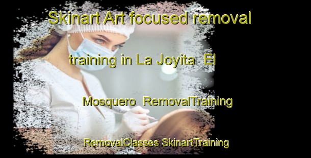 Skinart Art-focused removal training in La Joyita  El Mosquero | #RemovalTraining #RemovalClasses #SkinartTraining-Mexico