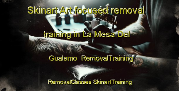 Skinart Art-focused removal training in La Mesa Del Gualamo | #RemovalTraining #RemovalClasses #SkinartTraining-Mexico