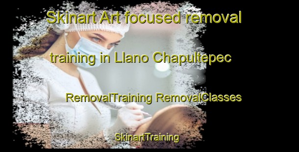 Skinart Art-focused removal training in Llano Chapultepec | #RemovalTraining #RemovalClasses #SkinartTraining-Mexico