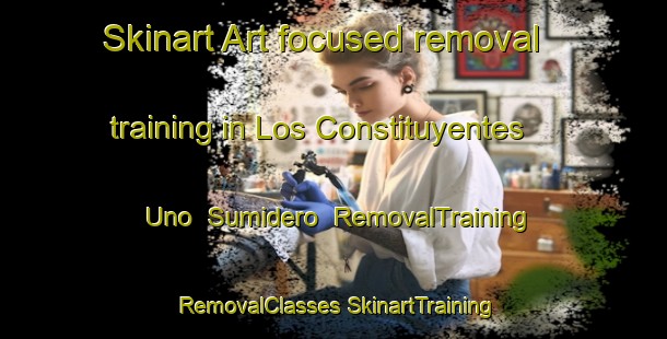 Skinart Art-focused removal training in Los Constituyentes Uno  Sumidero | #RemovalTraining #RemovalClasses #SkinartTraining-Mexico