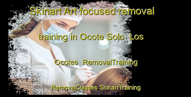 Skinart Art-focused removal training in Ocote Solo  Los Ocotes | #RemovalTraining #RemovalClasses #SkinartTraining-Mexico