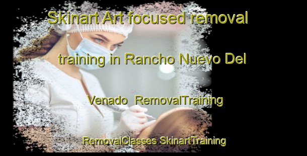 Skinart Art-focused removal training in Rancho Nuevo Del Venado | #RemovalTraining #RemovalClasses #SkinartTraining-Mexico