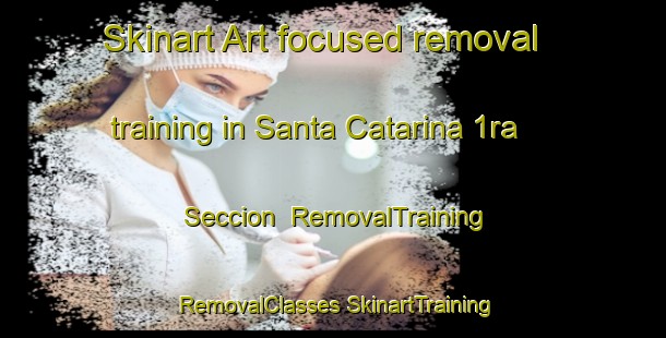 Skinart Art-focused removal training in Santa Catarina 1ra  Seccion | #RemovalTraining #RemovalClasses #SkinartTraining-Mexico