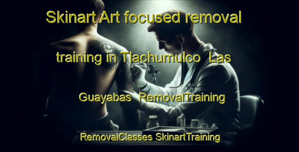 Skinart Art-focused removal training in Tlachumulco  Las Guayabas | #RemovalTraining #RemovalClasses #SkinartTraining-Mexico