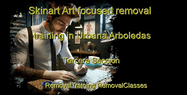 Skinart Art-focused removal training in Urbana Arboledas Tercera Seccion | #RemovalTraining #RemovalClasses #SkinartTraining-Mexico