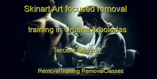 Skinart Art-focused removal training in Urbana Arboledas Tercera Seccion | #RemovalTraining #RemovalClasses #SkinartTraining-Mexico