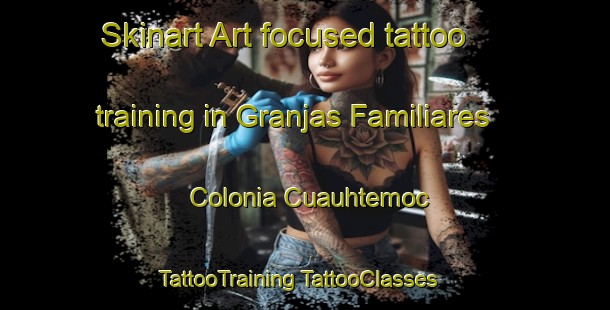 Skinart Art-focused tattoo training in Granjas Familiares  Colonia Cuauhtemoc | #TattooTraining #TattooClasses #SkinartTraining-Mexico