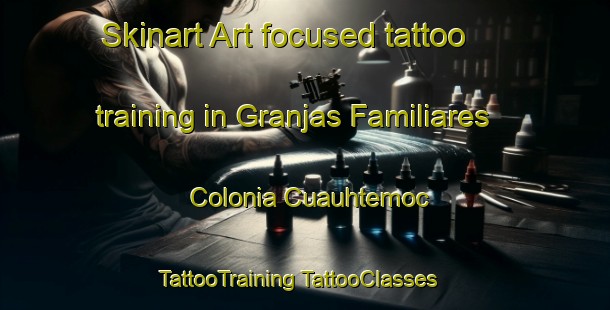 Skinart Art-focused tattoo training in Granjas Familiares  Colonia Cuauhtemoc | #TattooTraining #TattooClasses #SkinartTraining-Mexico