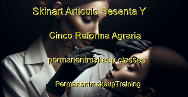 Skinart Articulo Sesenta Y Cinco Reforma Agraria permanentmakeup classes | #PermanentmakeupTraining #PermanentmakeupClasses #SkinartTraining-Mexico