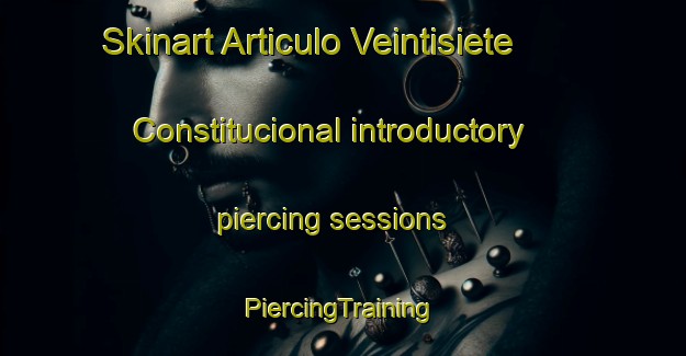 Skinart Articulo Veintisiete Constitucional introductory piercing sessions | #PiercingTraining #PiercingClasses #SkinartTraining-Mexico