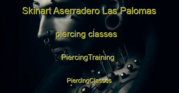 Skinart Aserradero Las Palomas piercing classes | #PiercingTraining #PiercingClasses #SkinartTraining-Mexico