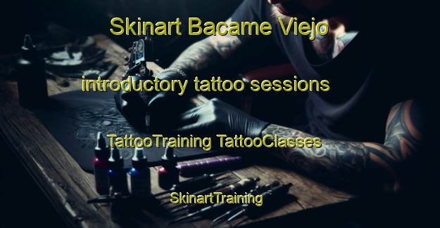 Skinart Bacame Viejo introductory tattoo sessions | #TattooTraining #TattooClasses #SkinartTraining-Mexico