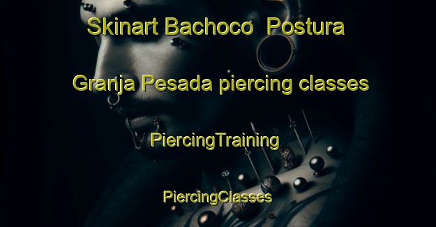 Skinart Bachoco  Postura Granja Pesada piercing classes | #PiercingTraining #PiercingClasses #SkinartTraining-Mexico