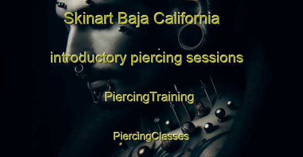 Skinart Baja California introductory piercing sessions | #PiercingTraining #PiercingClasses #SkinartTraining-Mexico