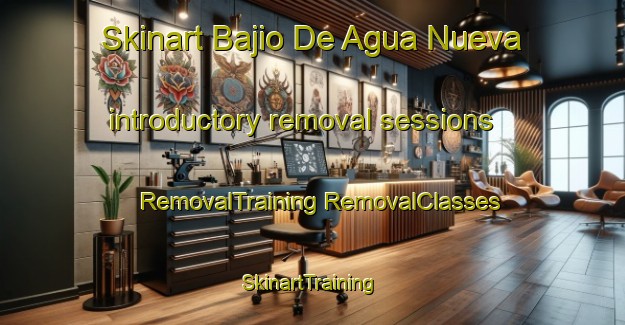 Skinart Bajio De Agua Nueva introductory removal sessions | #RemovalTraining #RemovalClasses #SkinartTraining-Mexico