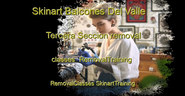 Skinart Balcones Del Valle Tercera Seccion removal classes | #RemovalTraining #RemovalClasses #SkinartTraining-Mexico