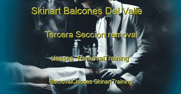 Skinart Balcones Del Valle Tercera Seccion removal classes | #RemovalTraining #RemovalClasses #SkinartTraining-Mexico