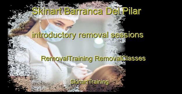 Skinart Barranca Del Pilar introductory removal sessions | #RemovalTraining #RemovalClasses #SkinartTraining-Mexico