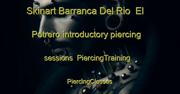 Skinart Barranca Del Rio  El Potrero introductory piercing sessions | #PiercingTraining #PiercingClasses #SkinartTraining-Mexico