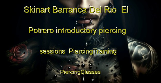 Skinart Barranca Del Rio  El Potrero introductory piercing sessions | #PiercingTraining #PiercingClasses #SkinartTraining-Mexico