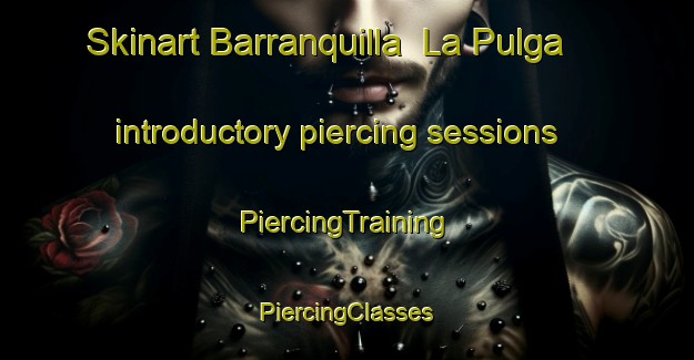 Skinart Barranquilla  La Pulga introductory piercing sessions | #PiercingTraining #PiercingClasses #SkinartTraining-Mexico