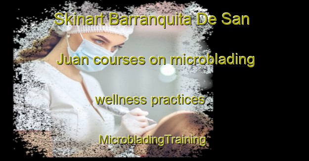 Skinart Barranquita De San Juan courses on microblading wellness practices | #MicrobladingTraining #MicrobladingClasses #SkinartTraining-Mexico