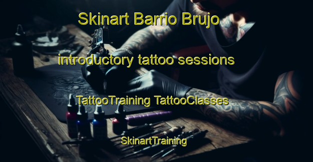 Skinart Barrio Brujo introductory tattoo sessions | #TattooTraining #TattooClasses #SkinartTraining-Mexico