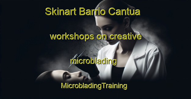 Skinart Barrio Cantua workshops on creative microblading | #MicrobladingTraining #MicrobladingClasses #SkinartTraining-Mexico