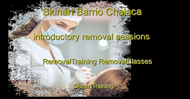 Skinart Barrio Chalaca introductory removal sessions | #RemovalTraining #RemovalClasses #SkinartTraining-Mexico