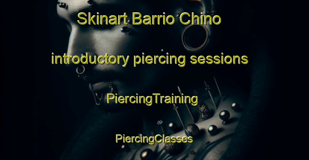 Skinart Barrio Chino introductory piercing sessions | #PiercingTraining #PiercingClasses #SkinartTraining-Mexico