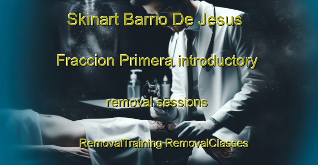 Skinart Barrio De Jesus Fraccion Primera introductory removal sessions | #RemovalTraining #RemovalClasses #SkinartTraining-Mexico