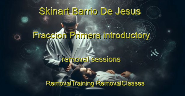 Skinart Barrio De Jesus Fraccion Primera introductory removal sessions | #RemovalTraining #RemovalClasses #SkinartTraining-Mexico