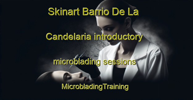 Skinart Barrio De La Candelaria introductory microblading sessions | #MicrobladingTraining #MicrobladingClasses #SkinartTraining-Mexico