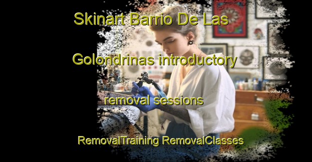 Skinart Barrio De Las Golondrinas introductory removal sessions | #RemovalTraining #RemovalClasses #SkinartTraining-Mexico