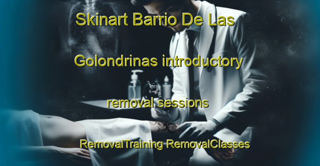 Skinart Barrio De Las Golondrinas introductory removal sessions | #RemovalTraining #RemovalClasses #SkinartTraining-Mexico