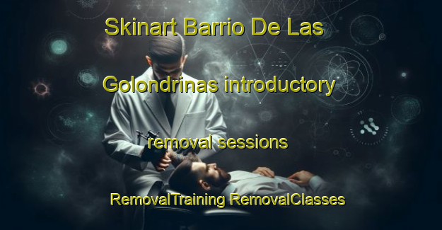 Skinart Barrio De Las Golondrinas introductory removal sessions | #RemovalTraining #RemovalClasses #SkinartTraining-Mexico