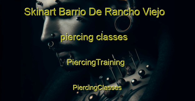 Skinart Barrio De Rancho Viejo piercing classes | #PiercingTraining #PiercingClasses #SkinartTraining-Mexico