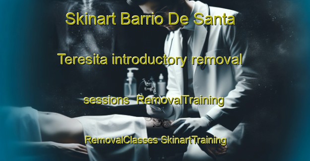 Skinart Barrio De Santa Teresita introductory removal sessions | #RemovalTraining #RemovalClasses #SkinartTraining-Mexico