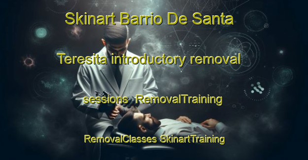 Skinart Barrio De Santa Teresita introductory removal sessions | #RemovalTraining #RemovalClasses #SkinartTraining-Mexico