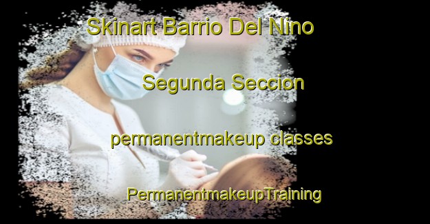 Skinart Barrio Del Nino  Segunda Seccion permanentmakeup classes | #PermanentmakeupTraining #PermanentmakeupClasses #SkinartTraining-Mexico