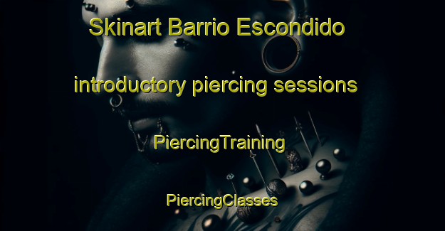 Skinart Barrio Escondido introductory piercing sessions | #PiercingTraining #PiercingClasses #SkinartTraining-Mexico