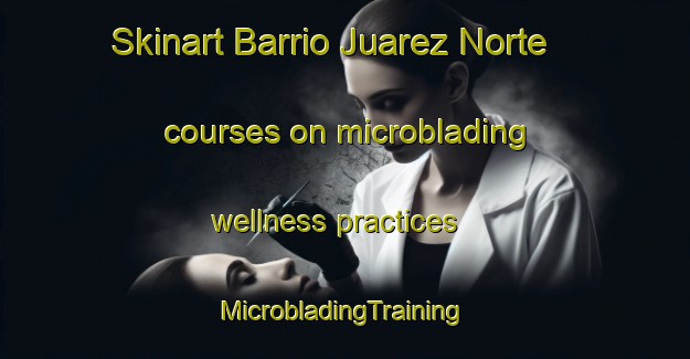 Skinart Barrio Juarez Norte courses on microblading wellness practices | #MicrobladingTraining #MicrobladingClasses #SkinartTraining-Mexico