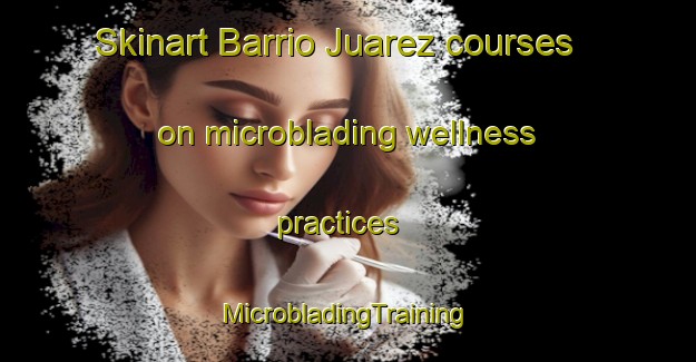 Skinart Barrio Juarez courses on microblading wellness practices | #MicrobladingTraining #MicrobladingClasses #SkinartTraining-Mexico