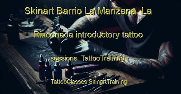 Skinart Barrio La Manzana  La Rinconada introductory tattoo sessions | #TattooTraining #TattooClasses #SkinartTraining-Mexico