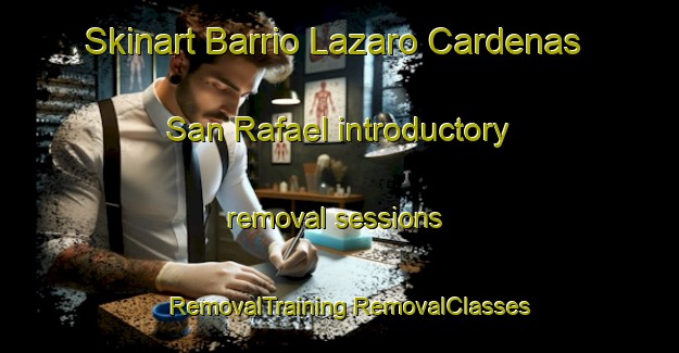 Skinart Barrio Lazaro Cardenas  San Rafael introductory removal sessions | #RemovalTraining #RemovalClasses #SkinartTraining-Mexico