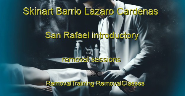 Skinart Barrio Lazaro Cardenas  San Rafael introductory removal sessions | #RemovalTraining #RemovalClasses #SkinartTraining-Mexico