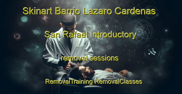 Skinart Barrio Lazaro Cardenas  San Rafael introductory removal sessions | #RemovalTraining #RemovalClasses #SkinartTraining-Mexico