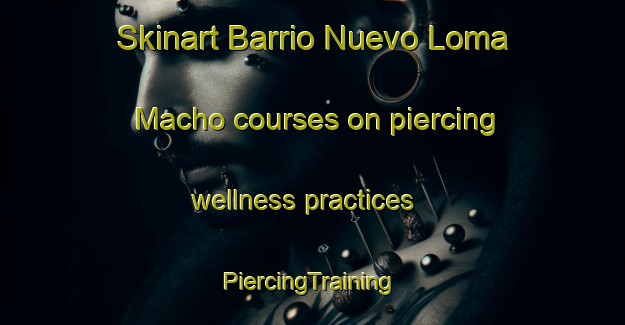 Skinart Barrio Nuevo Loma Macho courses on piercing wellness practices | #PiercingTraining #PiercingClasses #SkinartTraining-Mexico