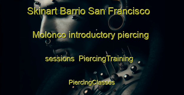 Skinart Barrio San Francisco Molonco introductory piercing sessions | #PiercingTraining #PiercingClasses #SkinartTraining-Mexico